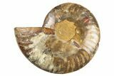 Cut & Polished Ammonite Fossil (Half) - Crystal Pockets #310687-1